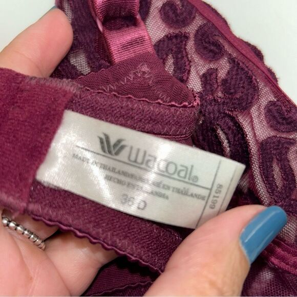 Wacoal Arabesque 85199 Lace Underwire Bra - Picture 4 of 5